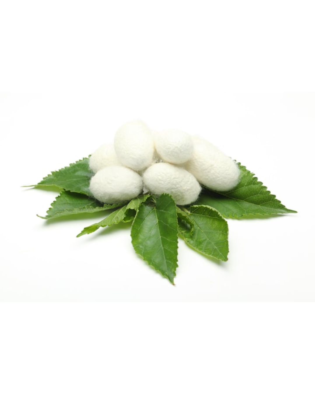 SILK SCRUNCHIE - PINK & WHITE